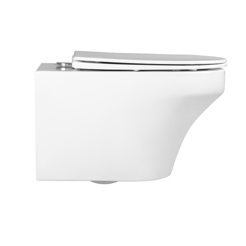 Унитаз подвесной CHARUS безободковый FRANZ D RIMLESS EWC700-124W фото в интернет-магазине САНТЕХСИТИ
