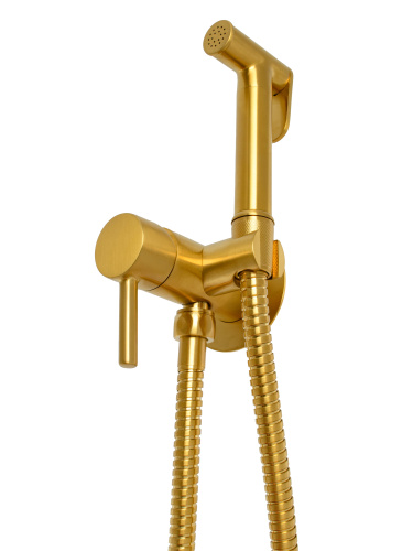 Гигиенический душ SANTERA со смесителем встраиваемый золото брашированное фото в интернет-магазине САНТЕХСИТИ