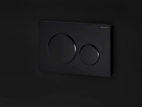 Накладная панель GEBERIT Sigma 20 115.882.16.1 черный матовый лак фото в интернет-магазине САНТЕХСИТИ