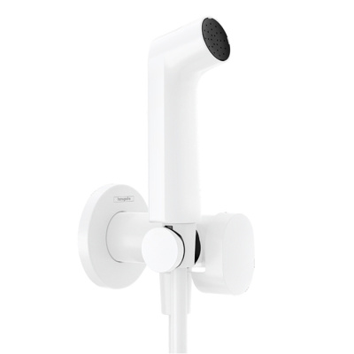 e4d3d2cbc24a399bb849d4fce71e21a1