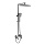 Душевая система VIEIR V443562G фото в интернет-магазине САНТЕХСИТИ