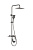 Душевая система VIEIR V323562G фото в интернет-магазине САНТЕХСИТИ