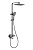 Душевая система VIEIR V393562G фото в интернет-магазине САНТЕХСИТИ