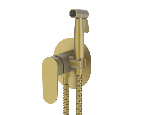 Смеситель с гигиеническим душем встраиваемый VIEIR V283551S фото в интернет-магазине САНТЕХСИТИ