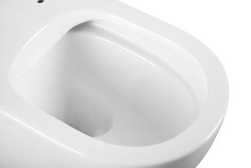 Унитаз подвесной CHARUS безободковый ESTELLA RIMLESS EWC700-121W фото в интернет-магазине САНТЕХСИТИ