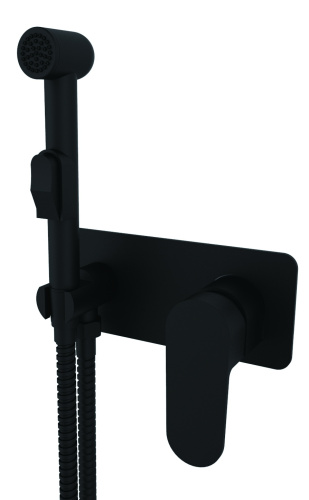 Смеситель с гигиеническим душем встраиваемый VIEIR V283553C фото в интернет-магазине САНТЕХСИТИ