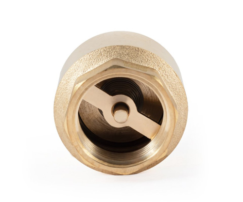 Обратный клапан PROFACTOR с латунным штоком 1" вн-нар фото в интернет-магазине САНТЕХСИТИ