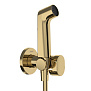 Hansgrohe Bidette E Гигиенический душ 1jet S EcoSmart+, со смесителем, с душевым держателем и шлангом 125 см, цвет: полированное золото фото в интернет-магазине САНТЕХСИТИ