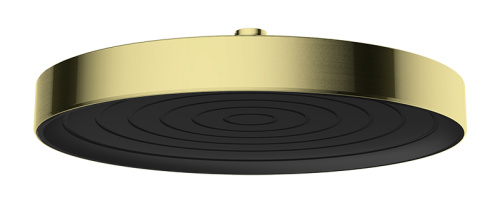 Лейка KAISER SH-310 стационарная, Ø265х28mm, пластик, в кор./Brushed gold фото в интернет-магазине САНТЕХСИТИ