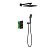 Душевая система встроенная с термостатом Timo Petruma SX-5059/03SM черный фото в интернет-магазине САНТЕХСИТИ
