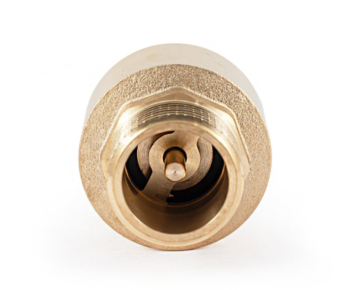 Обратный клапан PROFACTOR с латунным штоком 1" вн-нар фото в интернет-магазине САНТЕХСИТИ