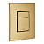 Накладная панель GROHE Skate Cosmopolitan 38732GN0 (кнопка квадратная) золото матовый фото в интернет-магазине САНТЕХСИТИ