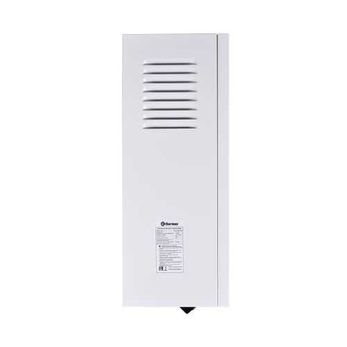 Котел настенный электрический THERMEX Boss 12 Wi-Fi (White) фото в интернет-магазине САНТЕХСИТИ