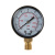 Манометр TIM 50мм вертикальный на 10bar фото в интернет-магазине САНТЕХСИТИ