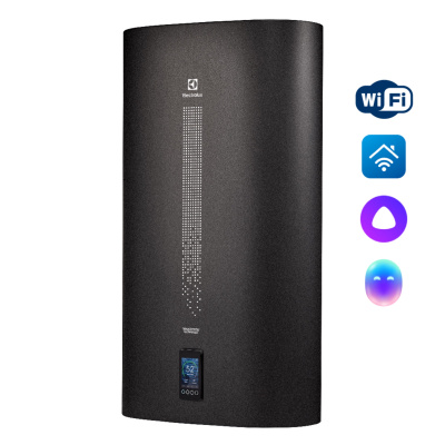 EWH 100 SmartInverter Grafit